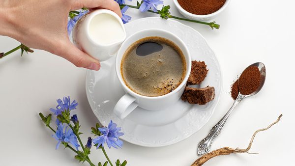 コーヒーでも愛用されるイヌリンの原料チコリを解説 | ビオリエ | 帝人株式会社
