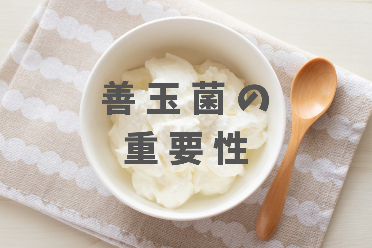 腸内環境を整える善玉菌の重要性とは？